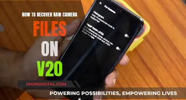 Recovering RAW Camera Files on V20: A Step-by-Step Guide