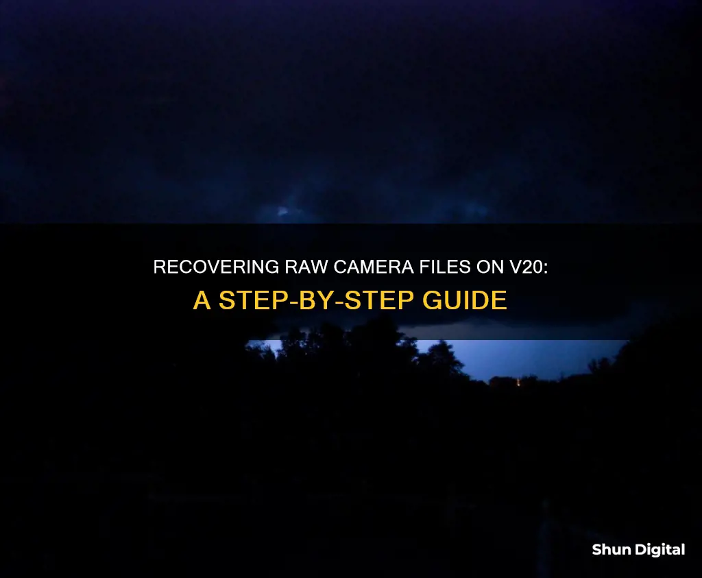 how to recover raw camera files on v20