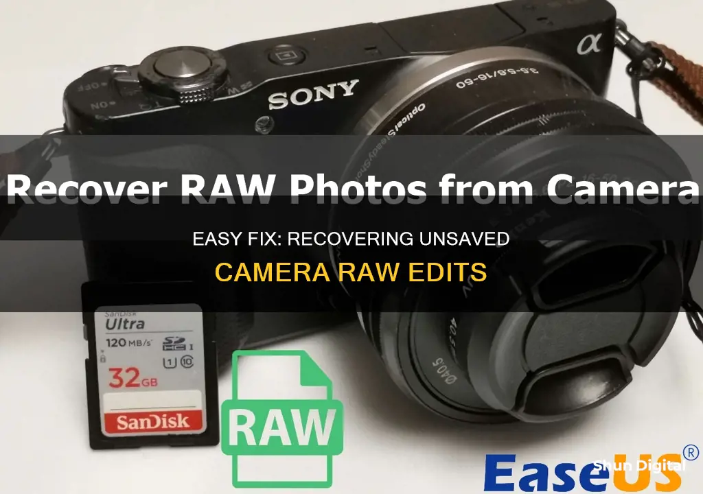 how to recover unsaved camera raw edit