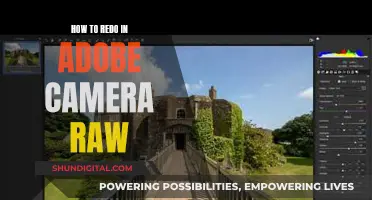 Exploring Adobe Camera Raw: Redo Functionality