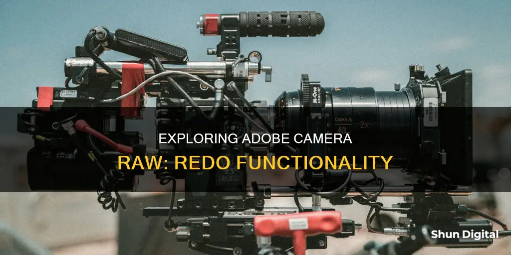 how to redo in adobe camera raw