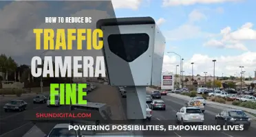 Avoid Unnecessary Fines: Tips to Reduce DC Traffic Camera Penalties