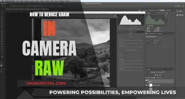 Reducing Grain in Camera Raw: Tips for Sharper Photos