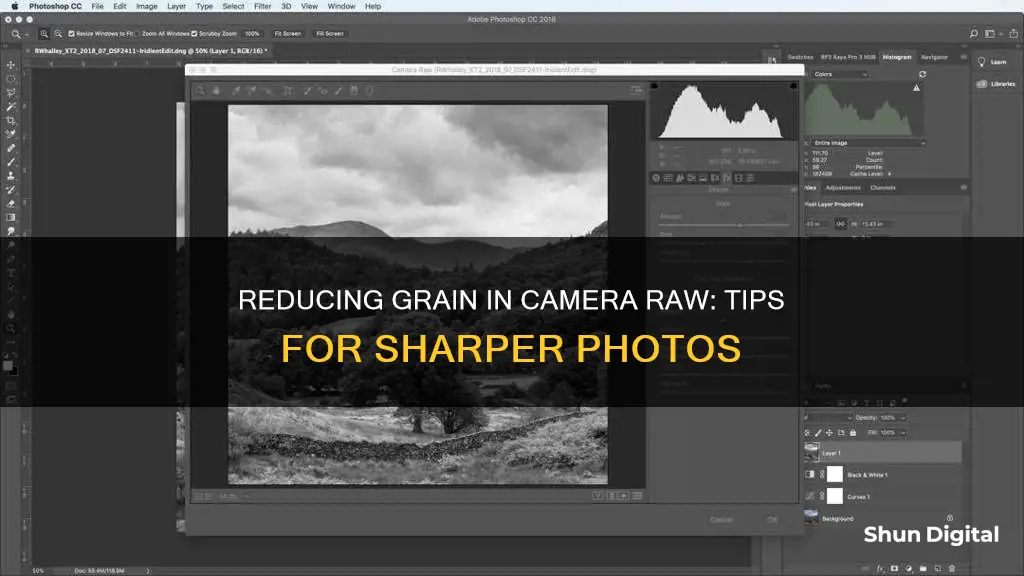 how to reduce grain in camera raw