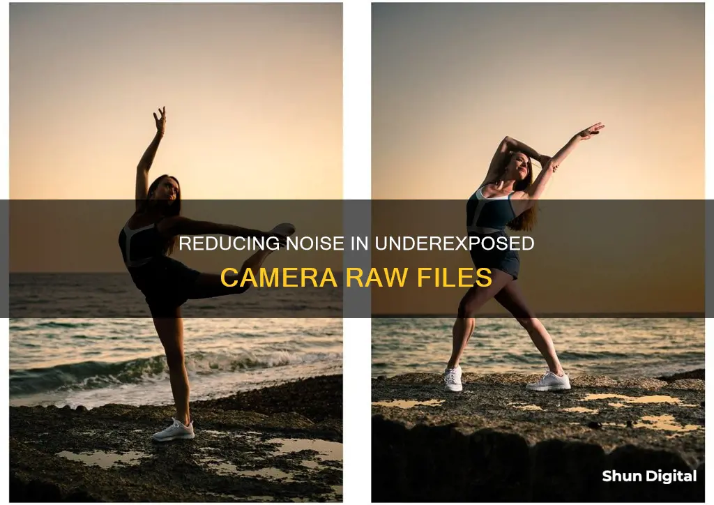 how to reduce noise in camera raw umderexposed