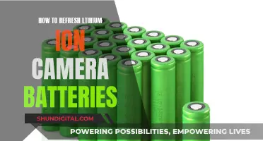 Revitalizing Lithium-Ion Camera Batteries: Pro Tips for Photographers