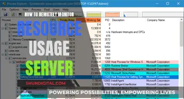 Remotely Monitoring Resource Usage: Server Management Techniques