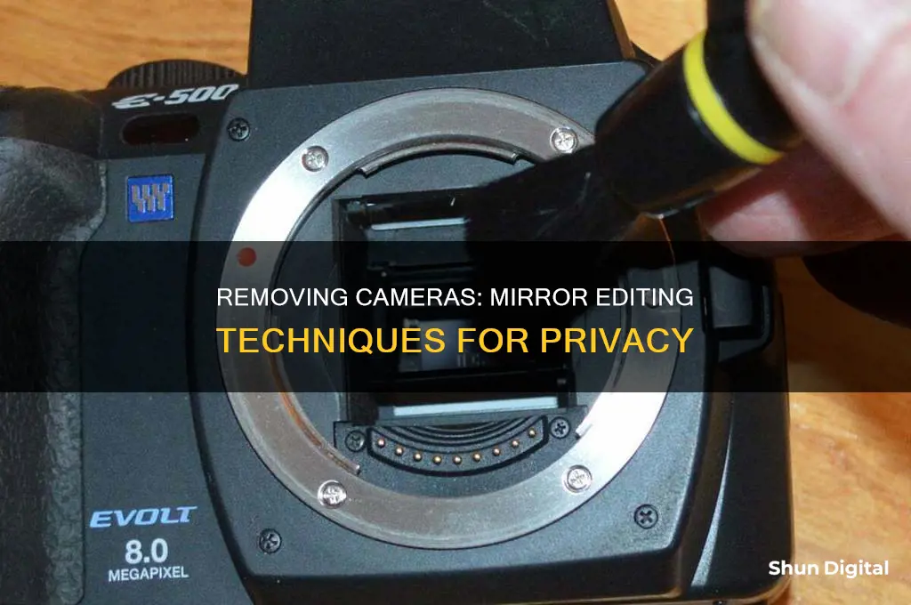 how to remove a camera from a mirror editing