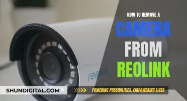 Removing a Camera from Reolink: A Step-by-Step Guide