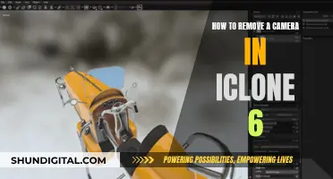 Removing Cameras in iClone 6: A Step-by-Step Guide
