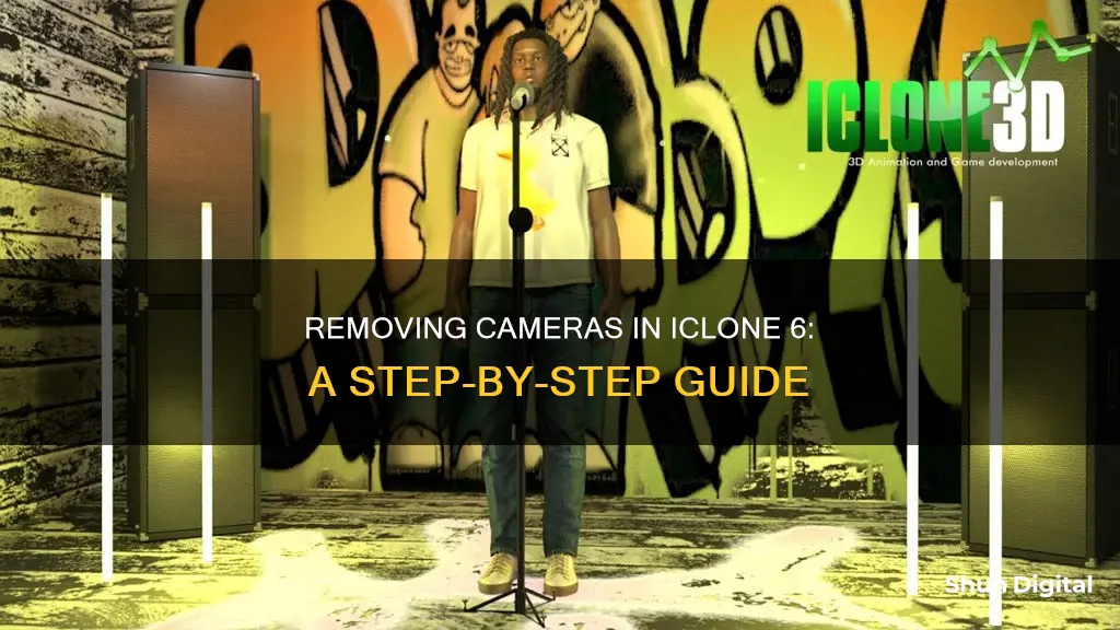 how to remove a camera in iclone 6