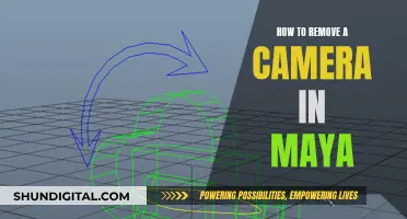 Removing Cameras in Maya: A Step-by-Step Guide