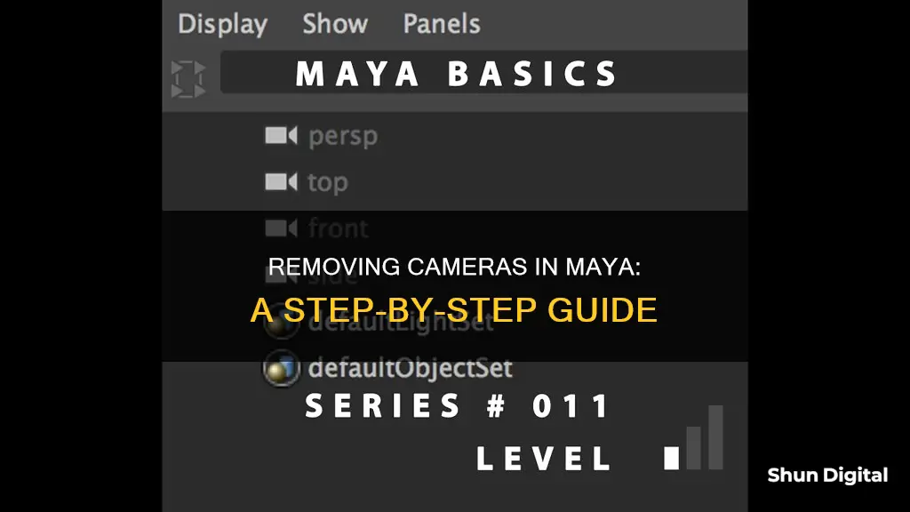 how to remove a camera in maya