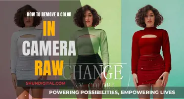 Mastering Camera Raw: Removing Colors for Stunning Effects