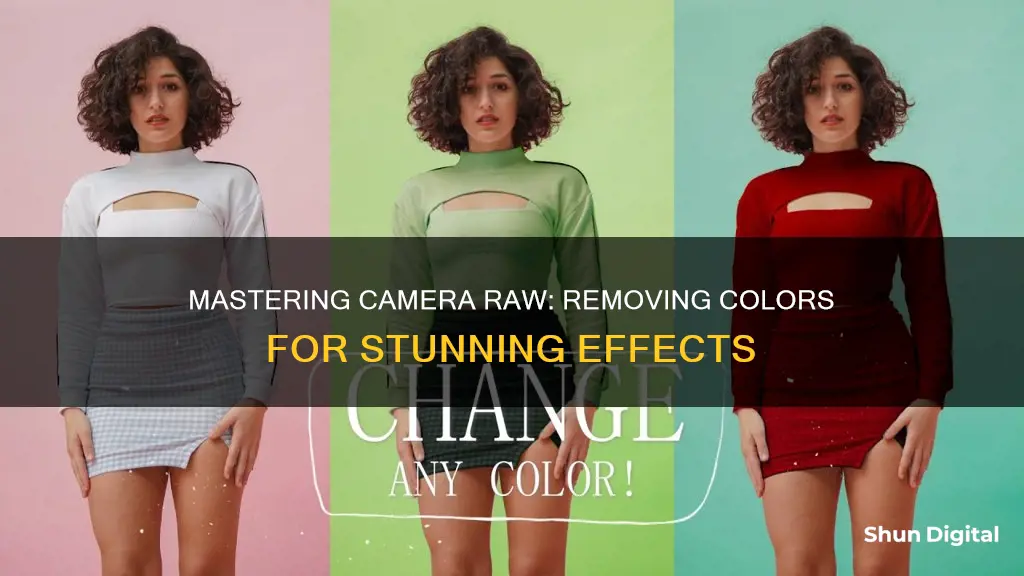 how to remove a color in camera raw