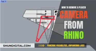 Removing Cameras in Rhino: A Step-by-Step Guide