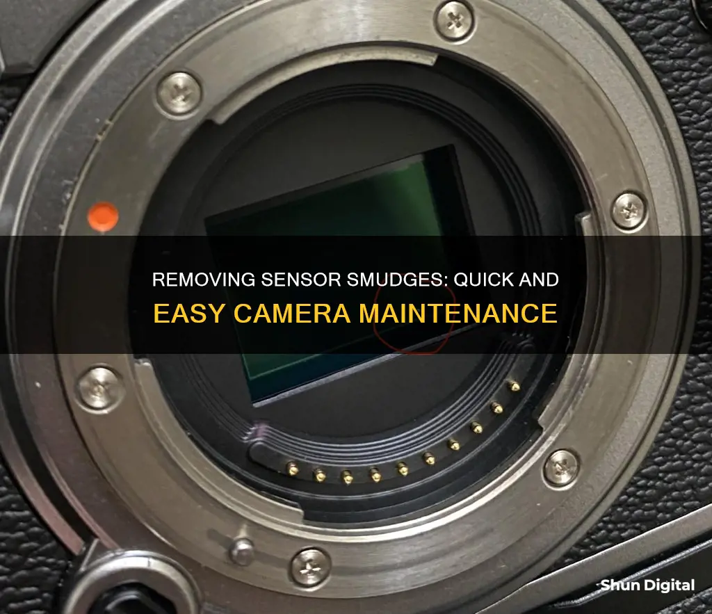 how to remove a smudge from the sensor camera