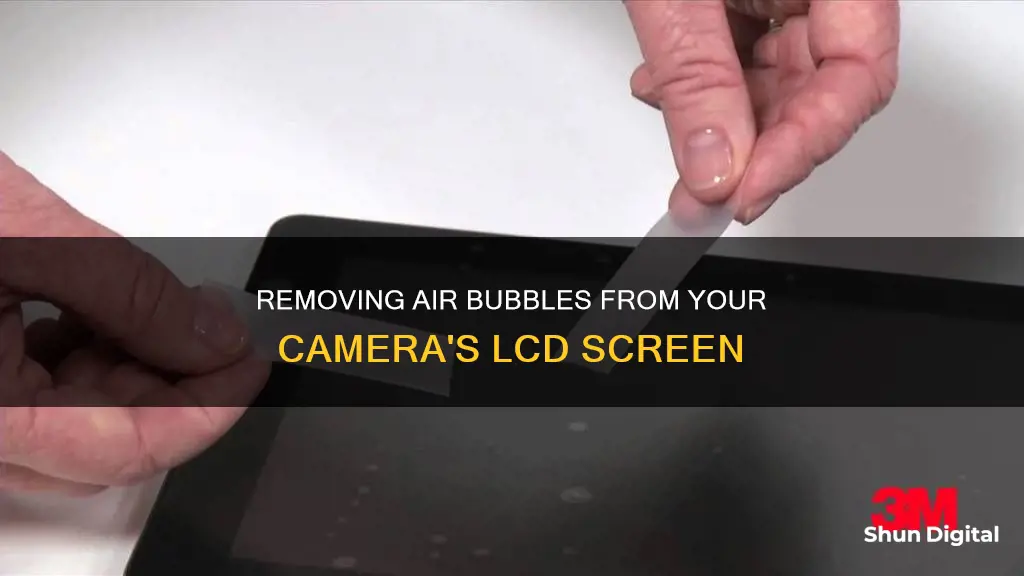 how to remove air bubble from camera lcd screen