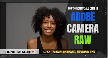 Undoing Edits in Adobe Camera Raw: A Comprehensive Guide