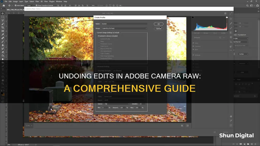 how to remove all edits in adobe camera raw