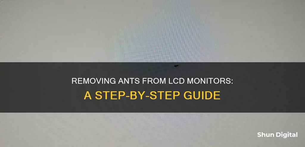 how to remove ants from lcd monitor