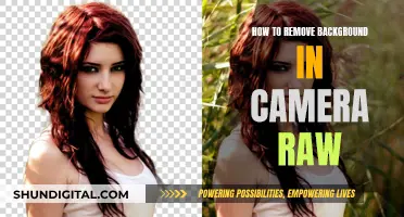 Mastering Camera Raw: Removing Backgrounds Like a Pro