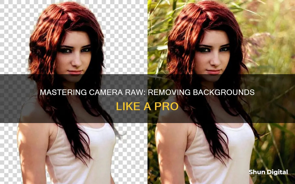 how to remove background in camera raw