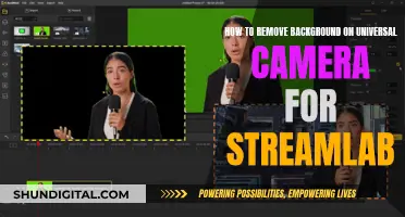 Streamlabs Camera: Remove Backgrounds for Professional Streams