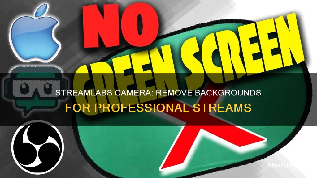 how to remove background on universal camera for streamlab