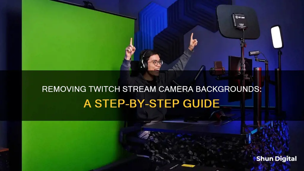 how to remove background twitch stream camera