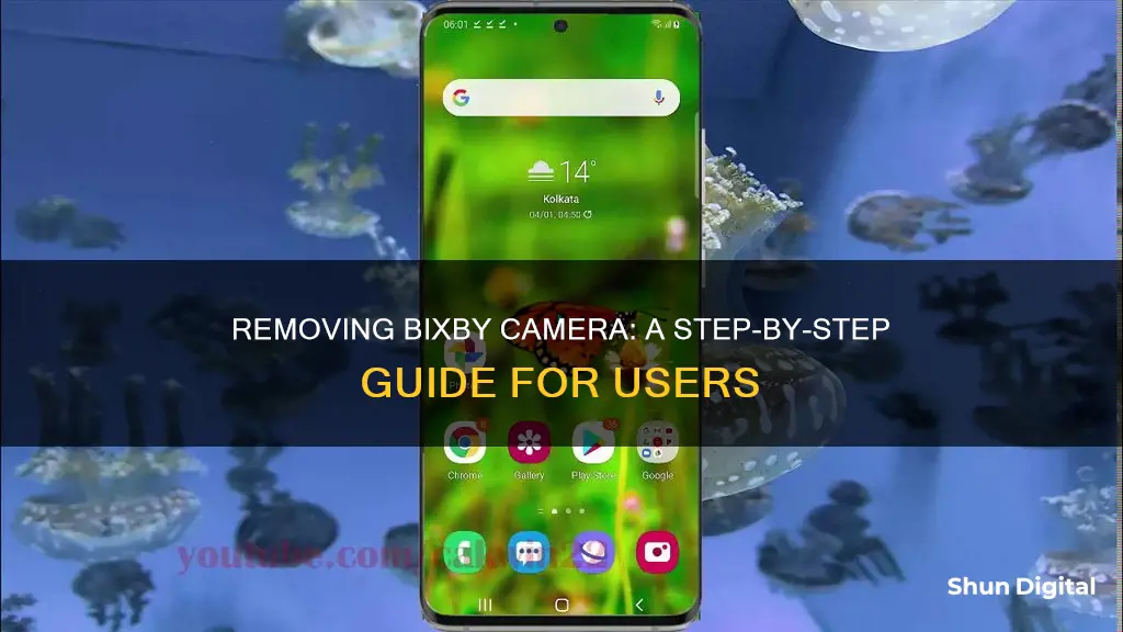 how to remove bixby camera