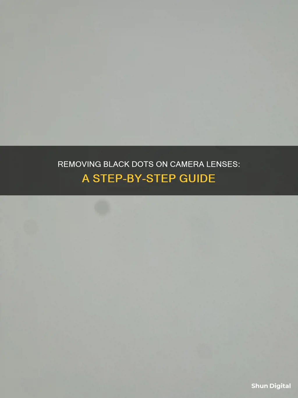 how to remove black dot on camera