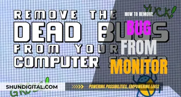 Get Rid of Bugs on Your Monitor Easily