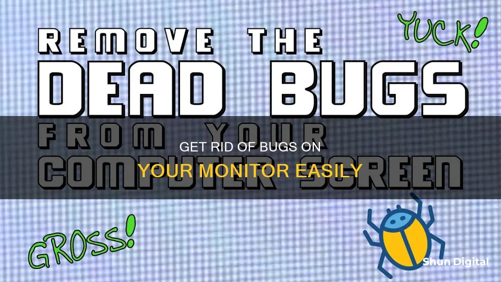 how to remove bug from monitor