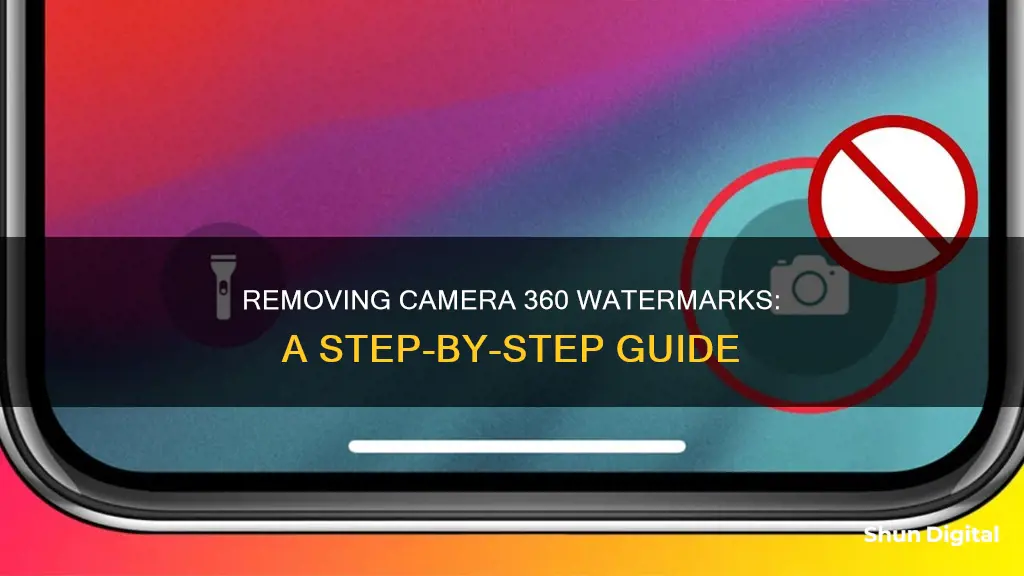 how to remove camera 360 logo