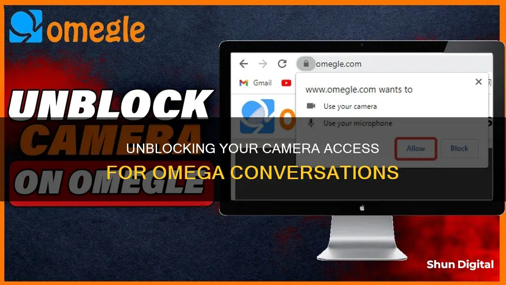 how to remove camera blocked in omegle