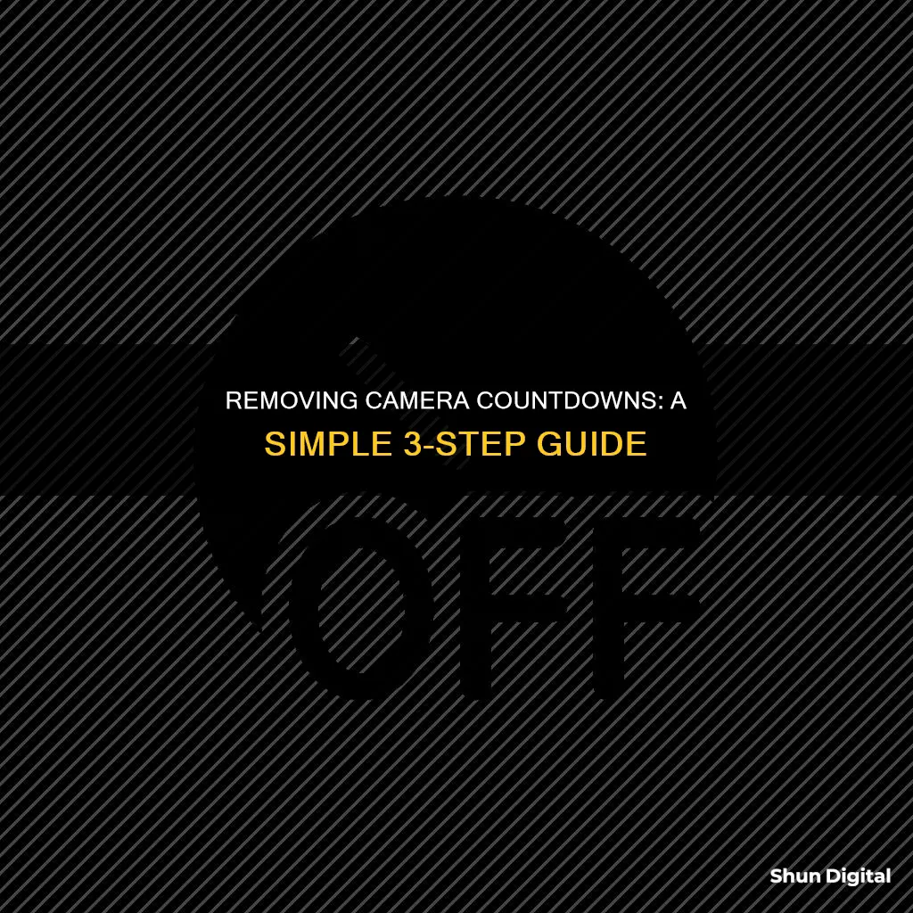 how to remove camera countdiwn