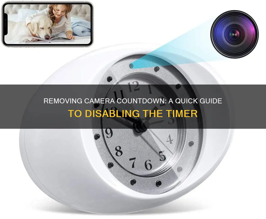 how to remove camera countdownn