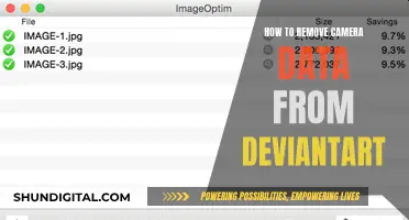 Removing Camera Data: A Guide for DeviantArt Users