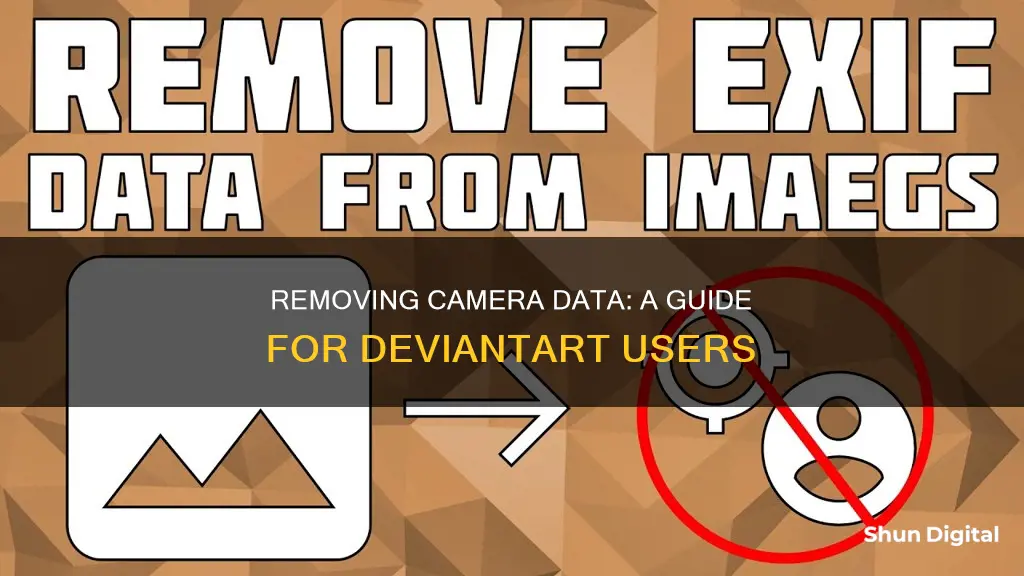 how to remove camera data from deviantart