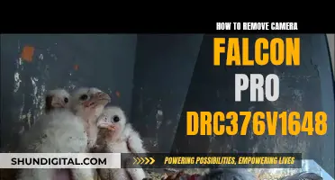 Falcon Pro DRC376V1648-02: Easy Removal Guide for Cameras