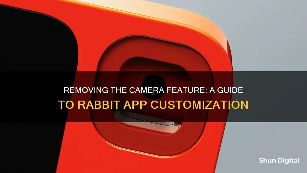 how to remove camera feature rabbit