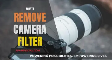 Unlocking Raw Photography: Removing Camera Filters