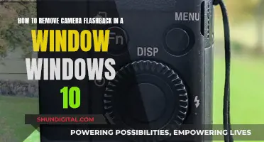 Eliminating Camera Flashback on Windows 10: A Guide