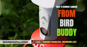 Removing Cameras from Bird Buddy: A Step-by-Step Guide