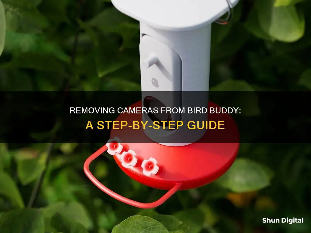 how to remove camera from bird buddy