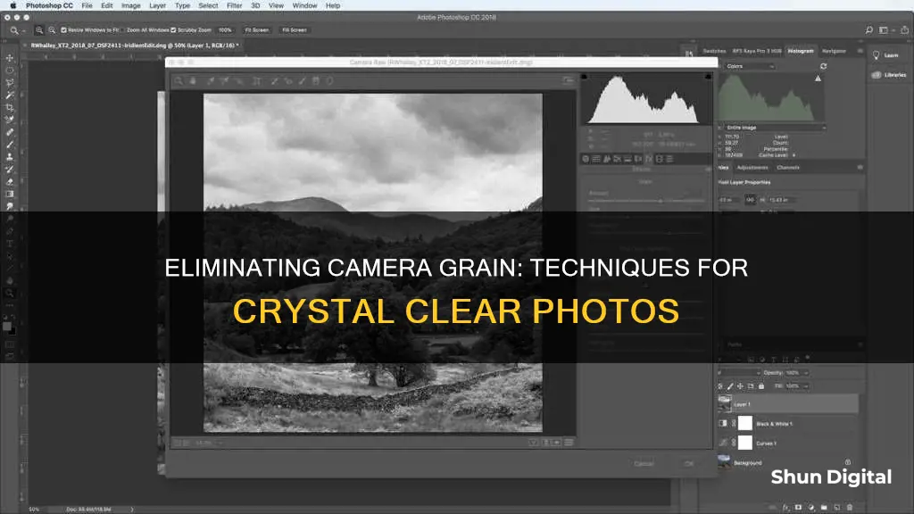 how to remove camera grain