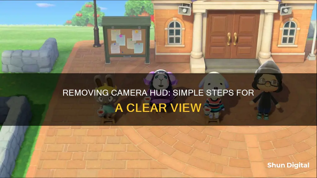 how to remove camera hud