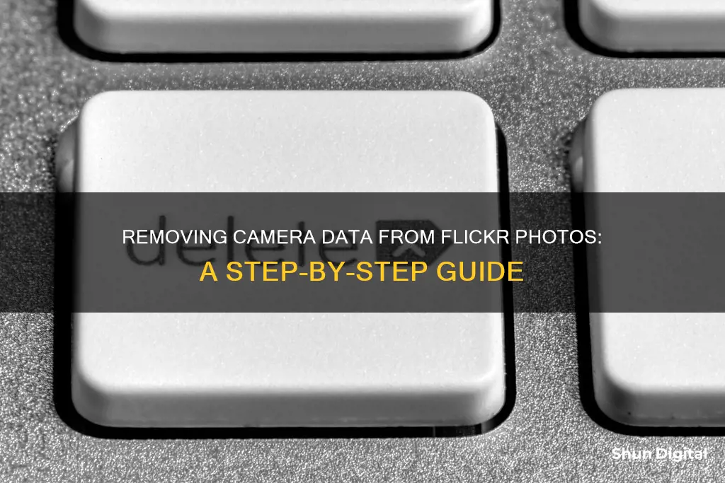 how to remove camera information from flickr