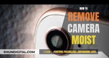 Ways to Rid Your Camera of Moisture and Humidity